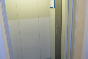 06